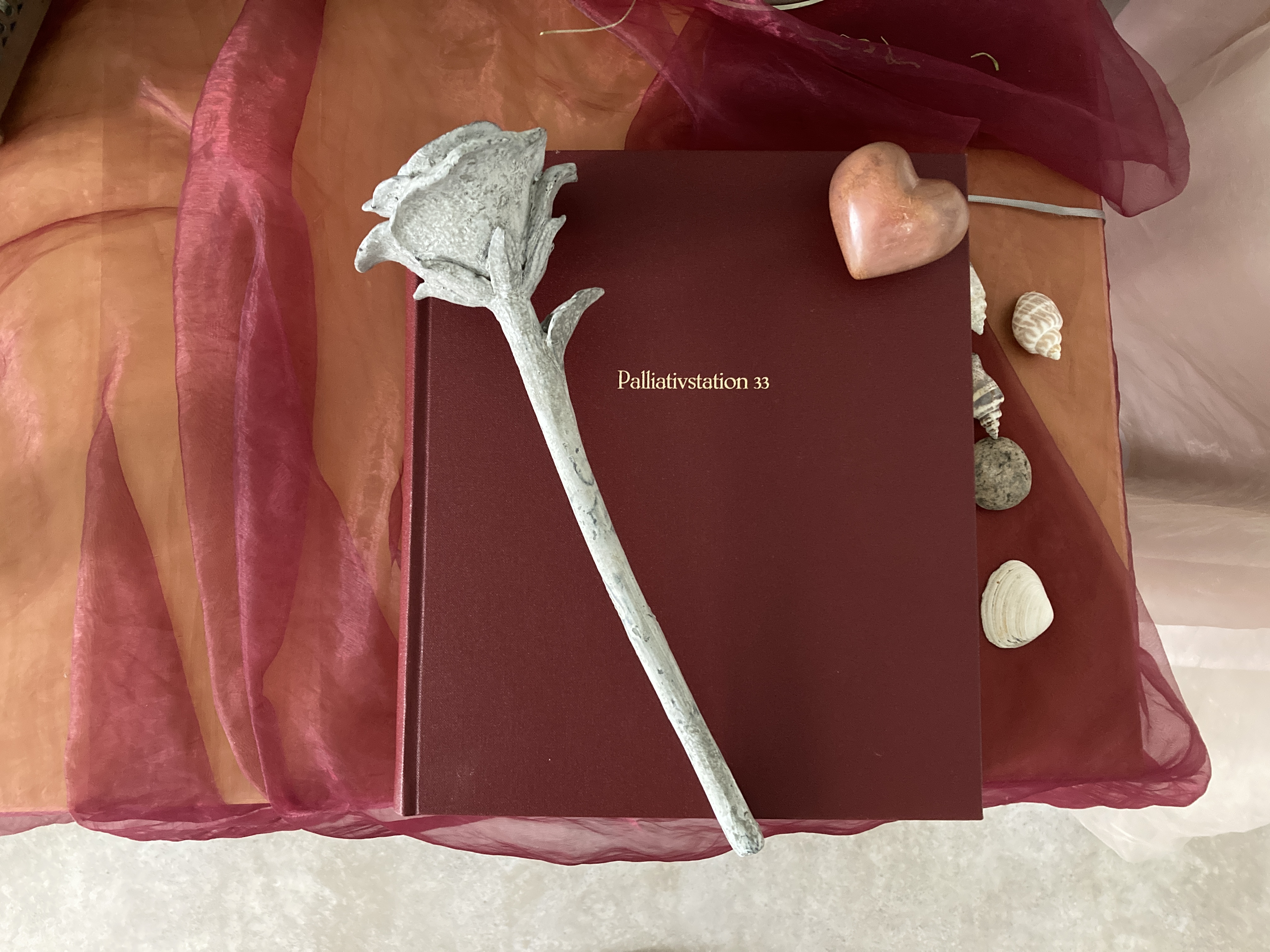 Delmenhorst spendet großzügig für schwerstkranke Menschen